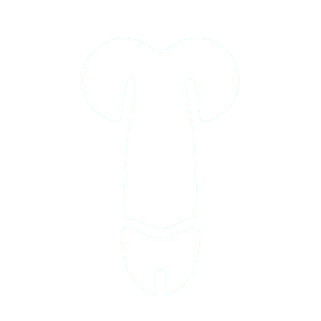 icon dick